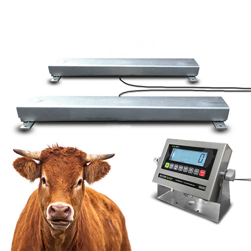 Electronic livestock weigh bar